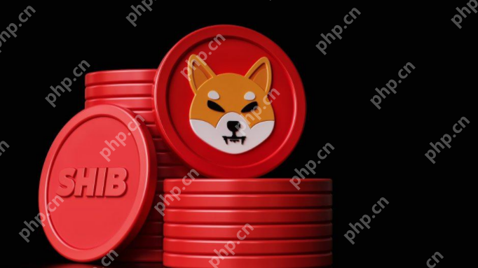 2024年牛市暴涨100倍的五种模因币(MEME)介绍 - php中文网